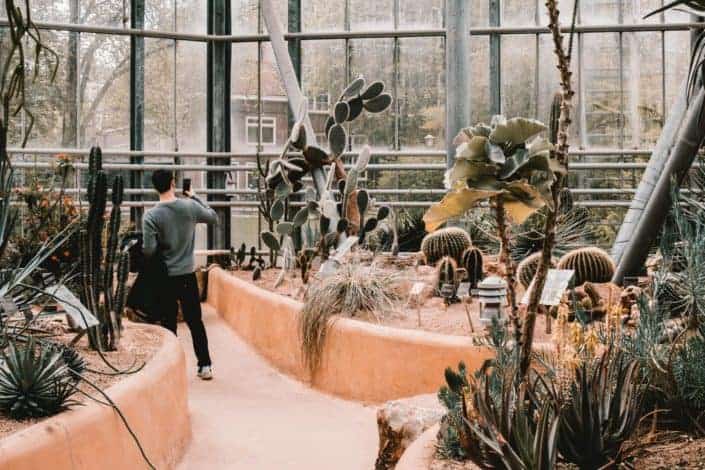 Anniversary date ideas - Visit a botanical garden