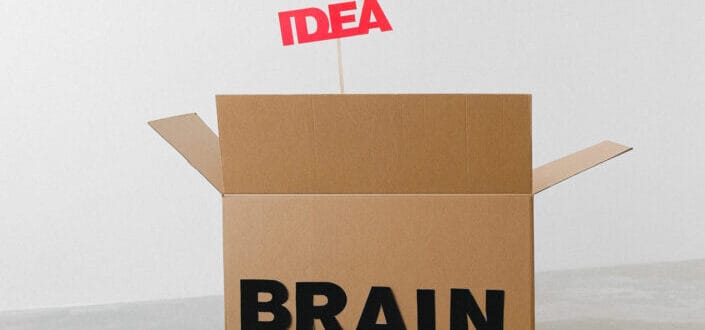 A box named brain