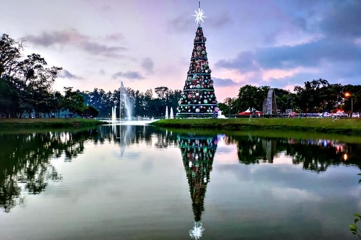 Fun Trivia Questions - How tall is the tallest Christmas tree