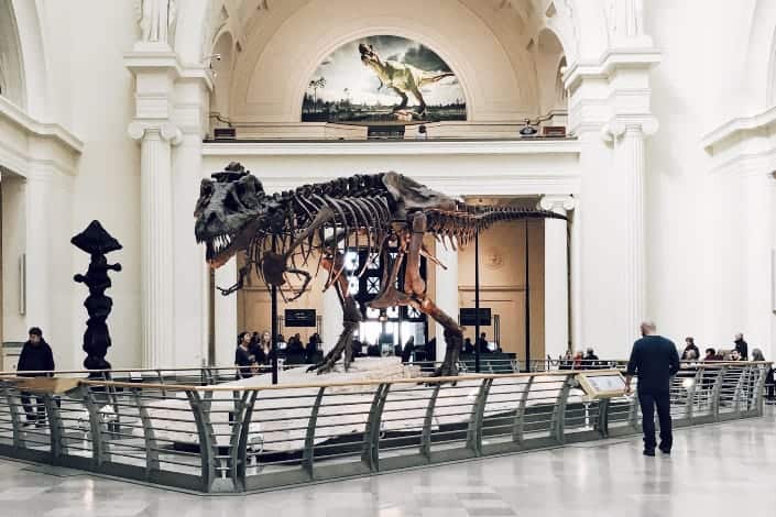 Fun Trivia Questions - Which country has largest known T-Rex skeleton was found