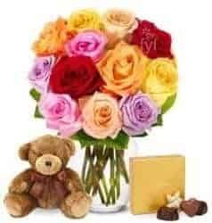 Gifts For Girlfriend - One Dozen Rainbow Roses With Godiva & Bear