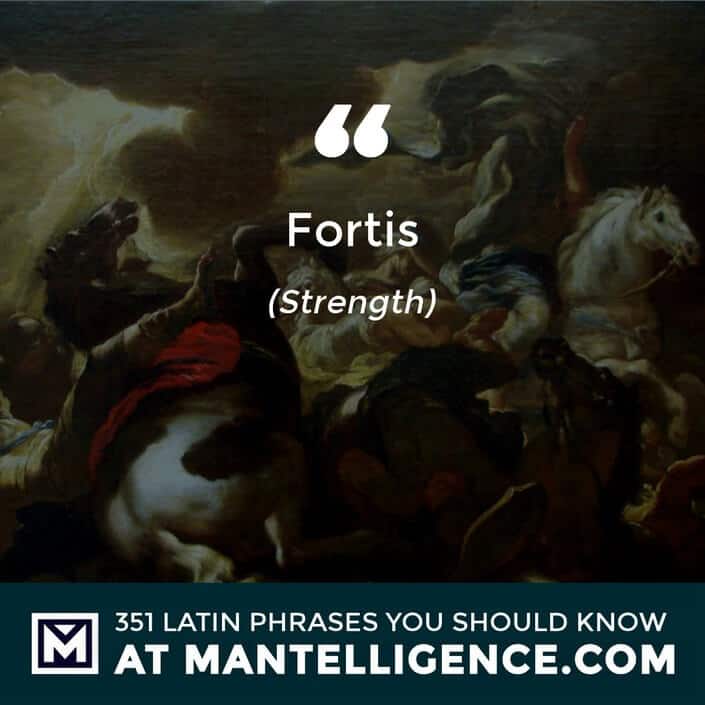 Fortis - Strength
