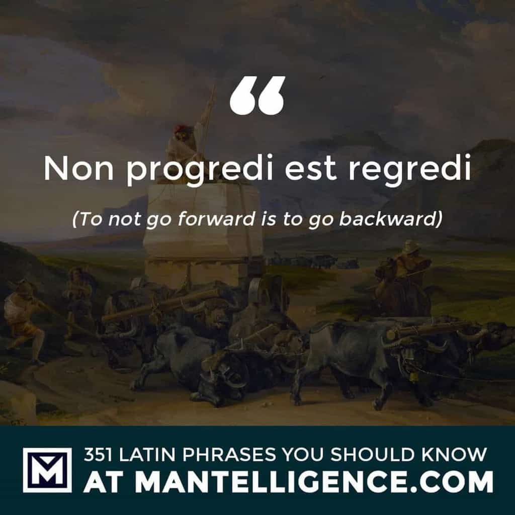 latin quotes - Non progredi est regredi - To not go forward is to go backward