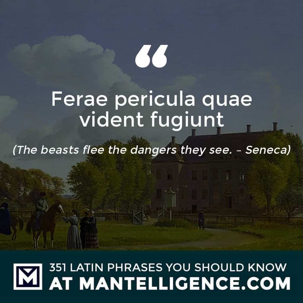 Ferae pericula quae vident fugiunt - The beasts flee the dangers they see. - Seneca