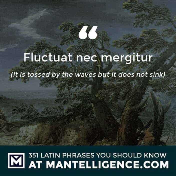 latin quotes - Fluctuat nec mergitur - It is tossed by the waves but it does not sink