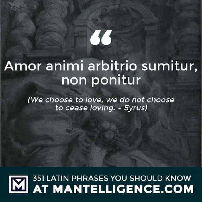 Amor animi arbitrio sumitur, non ponitur - We choose to love, we do not choose to cease loving. - Syrus