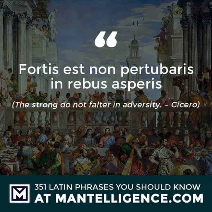 Fortis est non pertubaris in rebus asperis - The strong do not falter in adversity. - Cicero