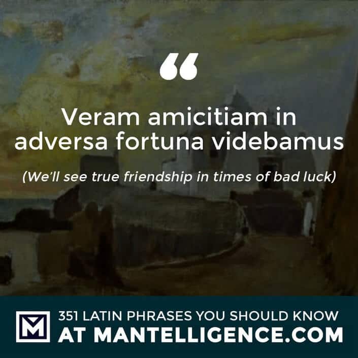 Veram amicitiam in adversa fortuna videbamus - We'll see true friendship in times of bad luck