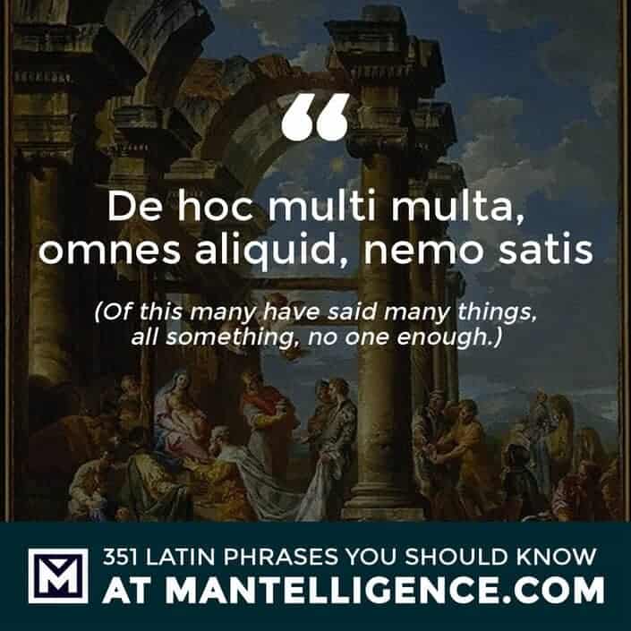 latin quotes - De hoc multi multa, omnes aliquid, nemo satis - Of this many have said many things, all something, no one enough.