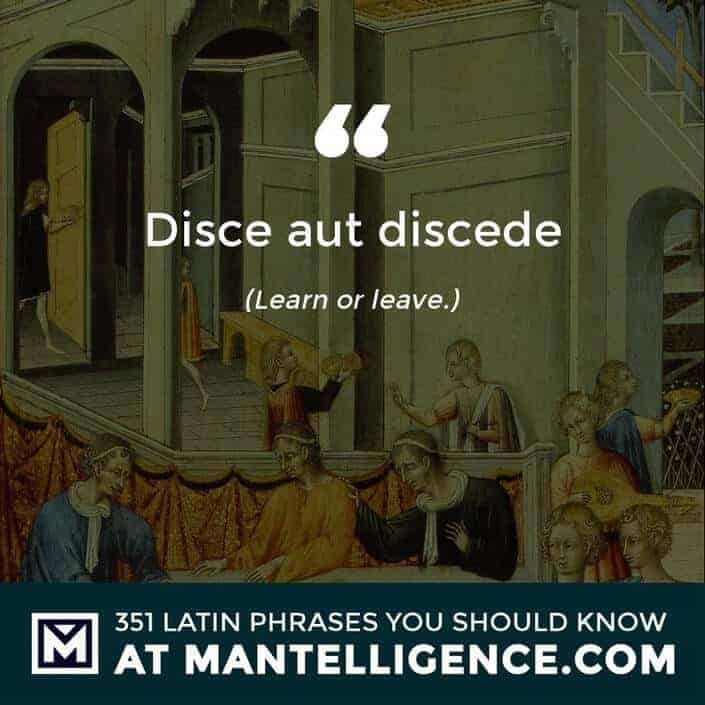 latin quotes - Disce aut discede - Learn or leave.