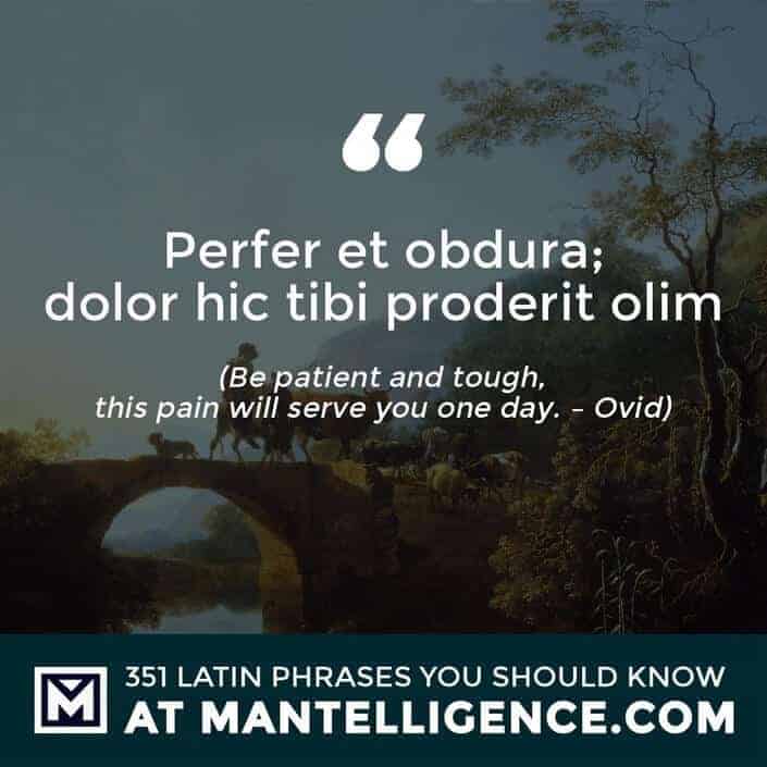Perfer et obdura; dolor hic tibi proderit olim - Be patient and tough, this pain will serve you one day. - Ovid