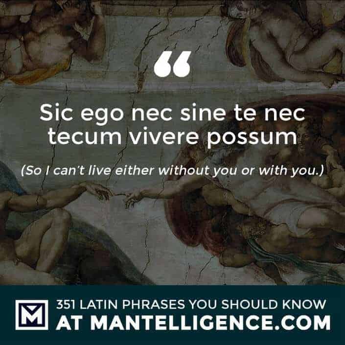 latin quotes - Sic ego nec sine te nec tecum vivere possum - So I can’t live either without you or with you.
