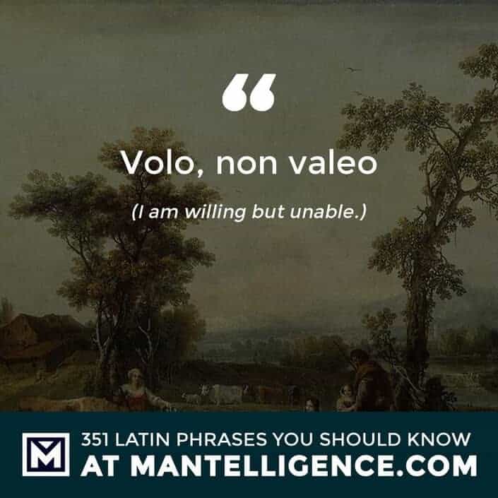 latin quotes - Volo, non valeo - I am willing but unable.