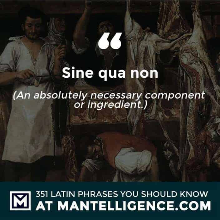 Sine qua non - An absolutely necessary component or ingredient.