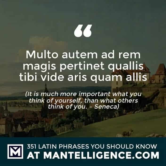 Multo autem ad rem magis pertinet quallis tibi vide aris quam allis - It is much more important what you think of yourself, than what others think of you. - Seneca