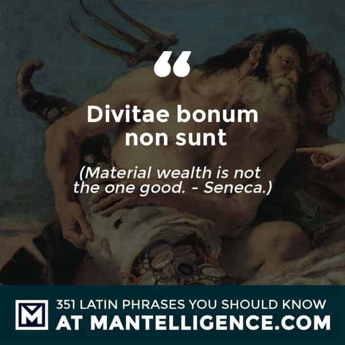 latin quotes - Divitae bonum non sunt - Material wealth is not the one good. - Seneca