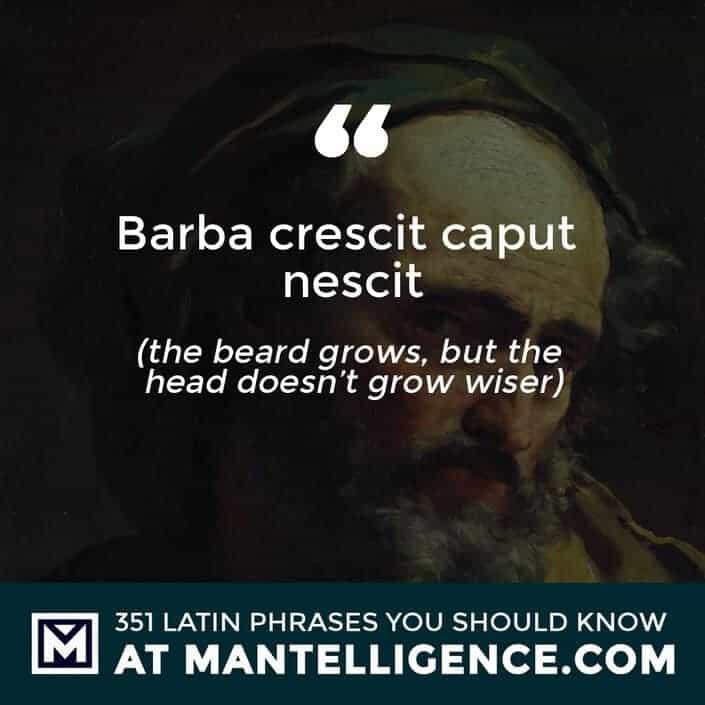 latin quotes - Barba crescit caput nescit - meaning 