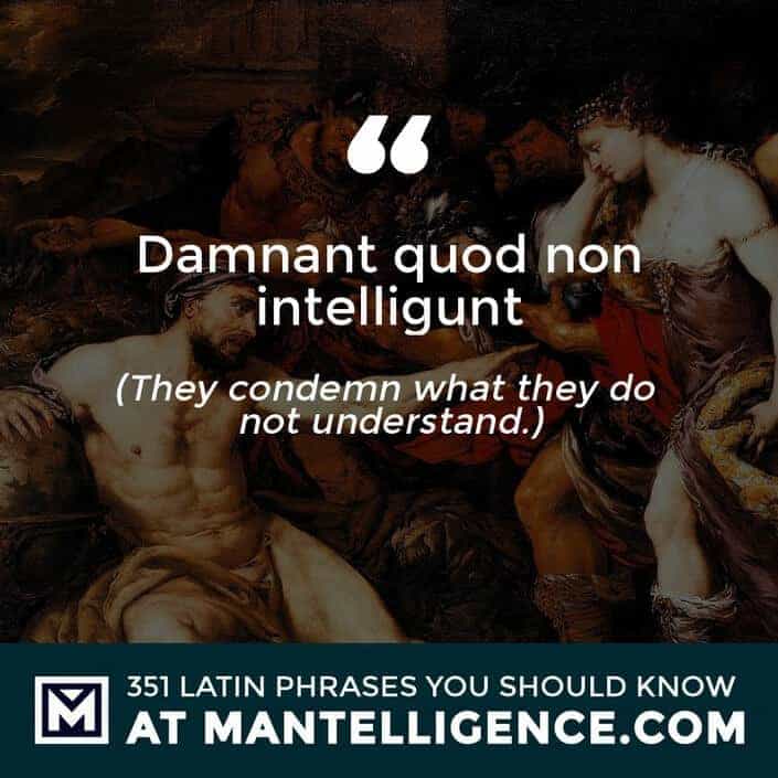latin quotes - quod non intelligunt - They condemn what they do not understand.