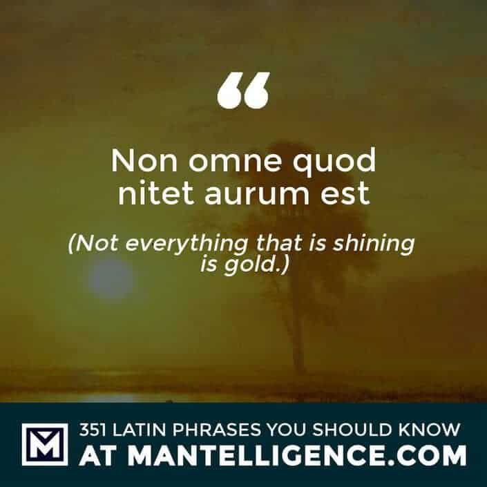 Non omne quod nitet aurum est - Not everything that is shining is gold.