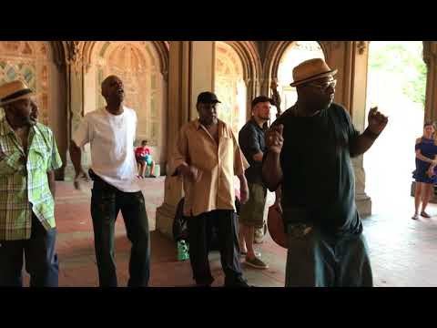 must-see! “Stand by Me” Cover Story （Acapella Soul） Wonderful！New York Central Park