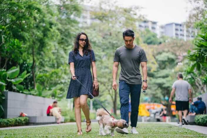 Man and woman walking their dog