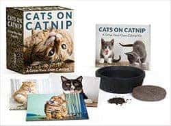 romantic gifts for girlfriend - catnip kit